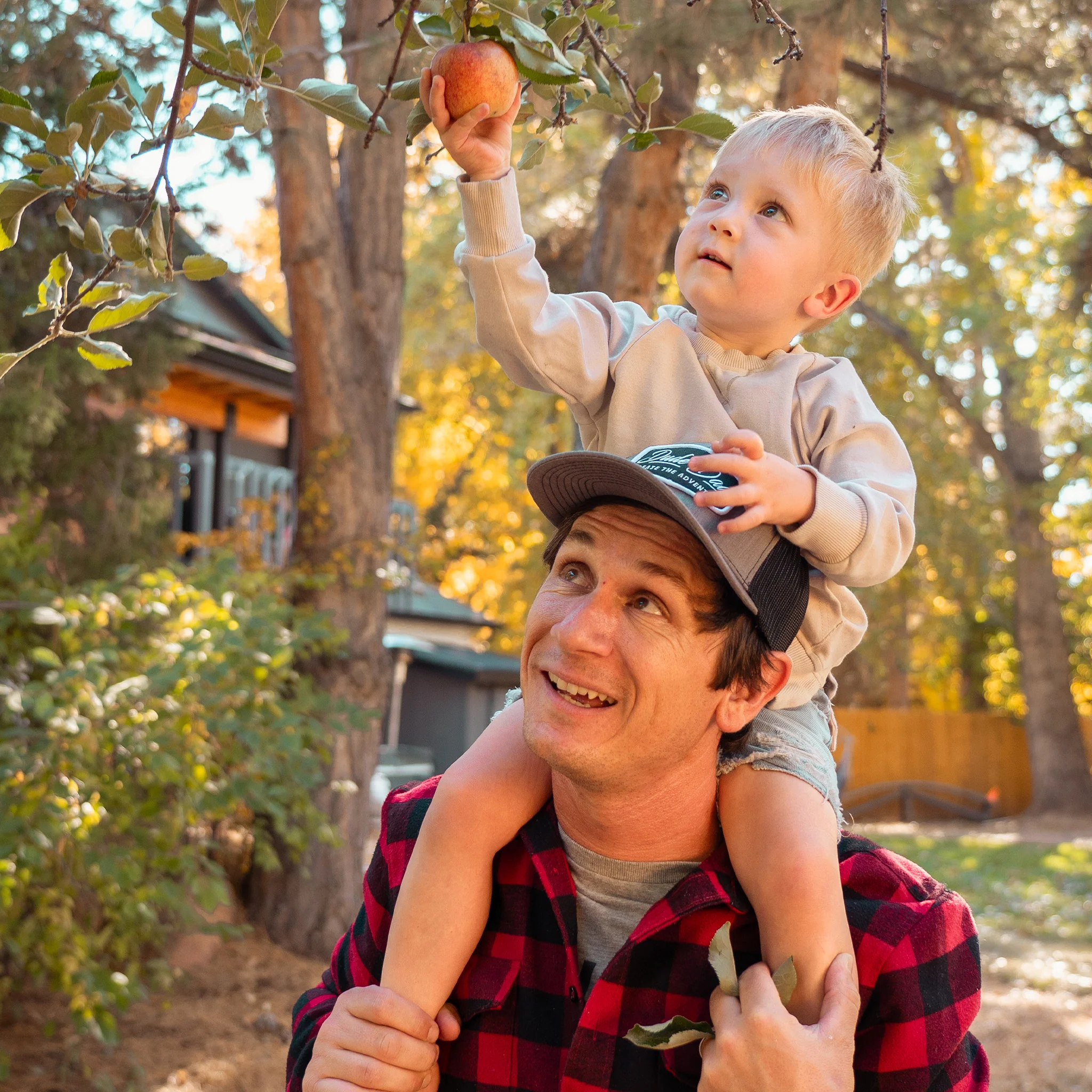 Dad Flannel - Image 4